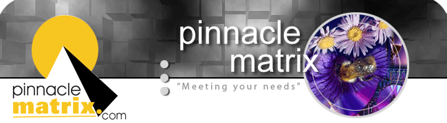 PinnacleMatrix - Meeting Your Needs